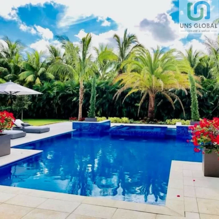 Swimming Pool Contractors