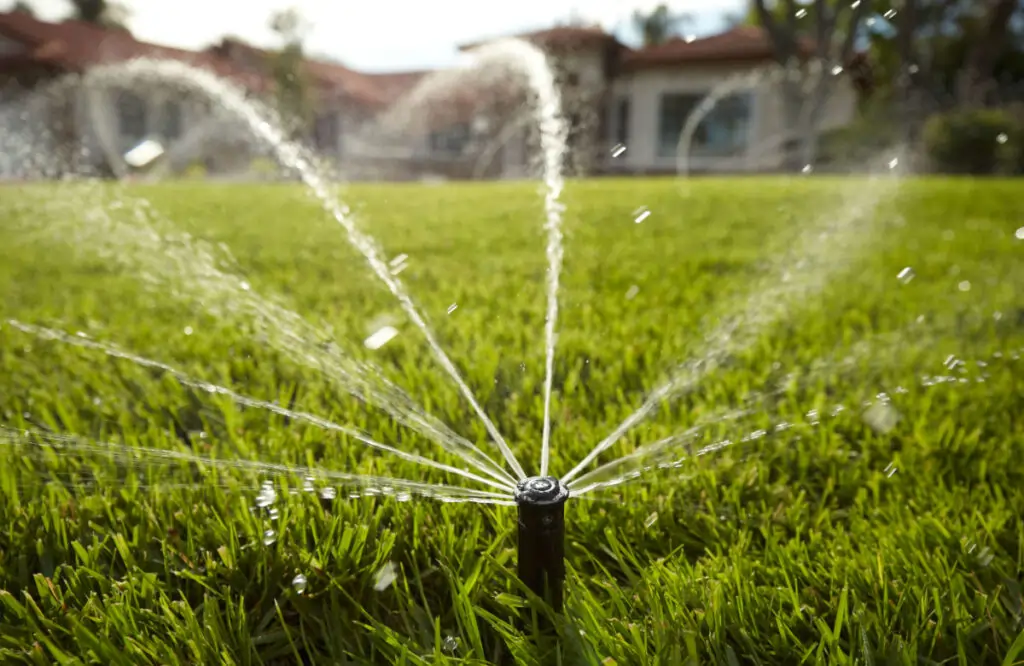 Landscape Irrigation